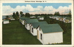 Orchard Camp Elbridge, NY Postcard 