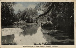 Wilsons Cave on Deer Creek Delphi, IN Postcard Postcard