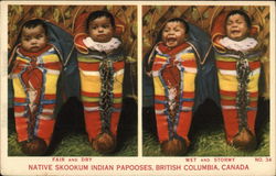 Native Skookum Indian Papooses Postcard