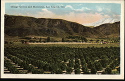 Stock #254096 Thumbnail