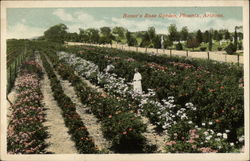 Bonar's Rose Garden Postcard
