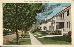 Sunset Avenue Palm Beach, FL Postcard Postcard