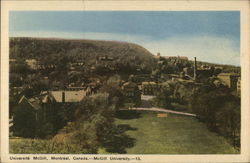 Stock #254159 Thumbnail