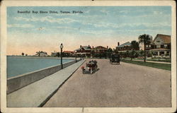 Beautiful Bay Shore Drive Postcard