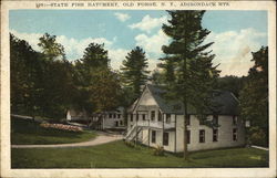 State Fish Hatchery, Old Forge, N.Y., Adirondack MTS New York Postcard Postcard