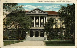 Natural History Museum at Lincoln Park Chicago, IL Postcard Postcard