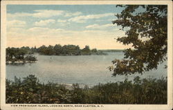 View from Sugar Island, Looking North Postcard