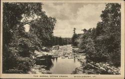 The Gorge at Otter Creek Middlebury, VT Postcard Postcard