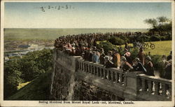 Stock #254552 Thumbnail