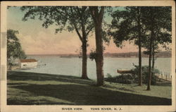 River View of the Toms River New Jersey Postcard Postcard