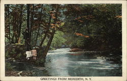 Family by Picturesque Stream Meredith, NY Postcard Postcard
