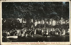 Swimming Exhibition at Ontario Bay House Postcard