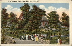 Alligator Pool, Forest Park Postcard