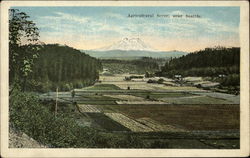 Agricultural Scene Postcard