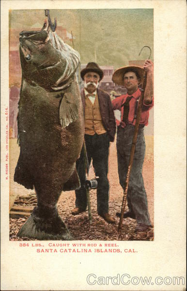 Caught with Rod and Reel Santa Catalina Islands California