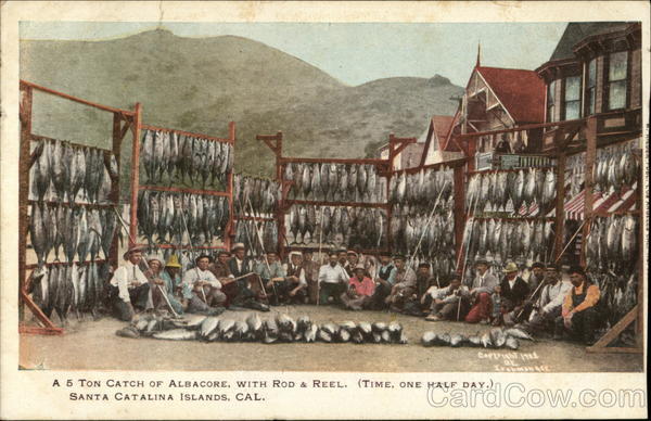 A 5 Ton Catch of Albacore, with Rod & Reel. (Time, one half day) Santa Catalina Islands California