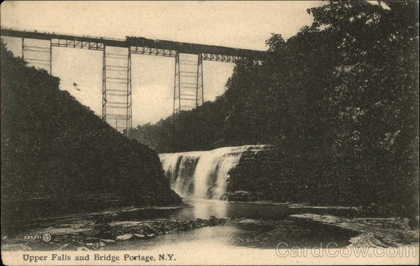 Upper Falls and Bridge Portage New York