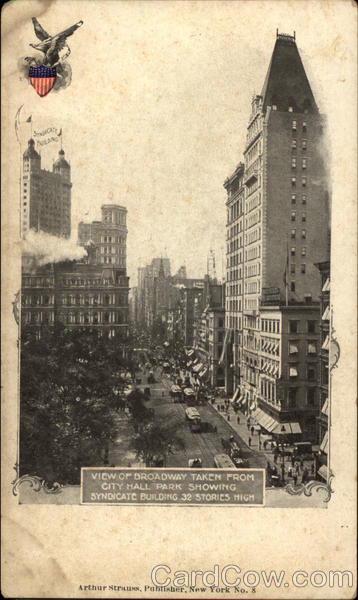 View of Broadway Taken from City Hall Park New York City