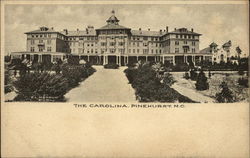 The Carolina The Carolina