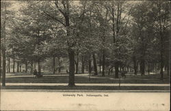 Stock #255110 Thumbnail