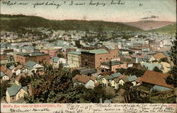 Bird's Eye view Postcard