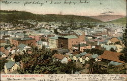 Bird's Eye view Branford, PA Postcard Postcard