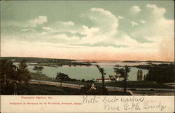 View of Harbor Postcard