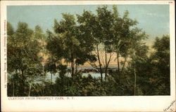 Clayton from Prospect Park New York City, NY Postcard Postcard