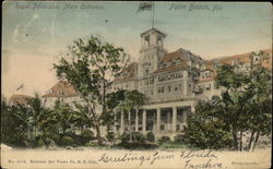 Royal Poinciana, Main Entrance Postcard