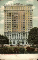 Stock #255373 Thumbnail