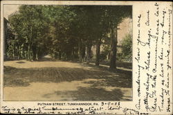 Putnam Street Tunkhannock, PA Postcard Postcard