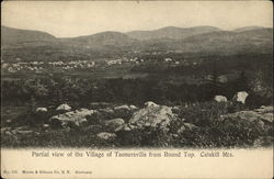 Partial View of Village from Rount Top, Catskill Mts Postcard