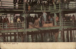 The Net Haul Postcard