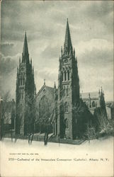 Cathedral of the Immaculate Conception (Catholic) Postcard
