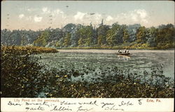Lily Pond on the Penisula Postcard