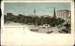 Madison Square Postcard
