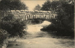 Rustic Bridge to First Sister Island Rustic Bridge to First Sister Island