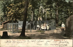In the "Zoo", Seneca Park Postcard