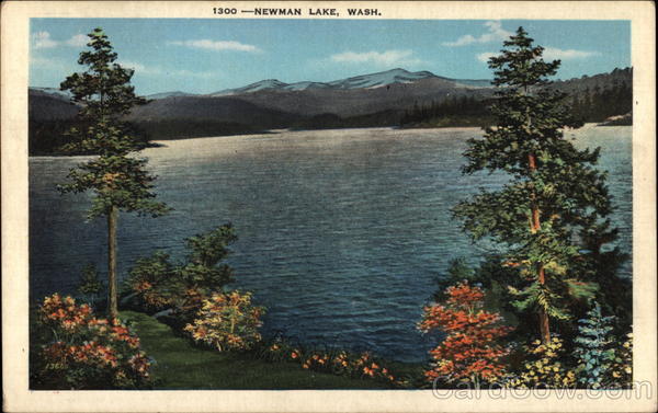 Scene of Newman Lake Washington