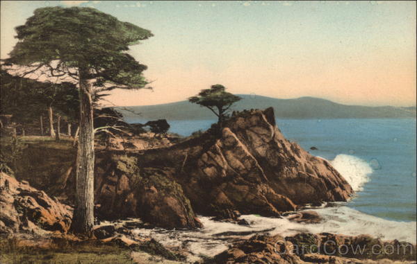 Hotel Del Monte California