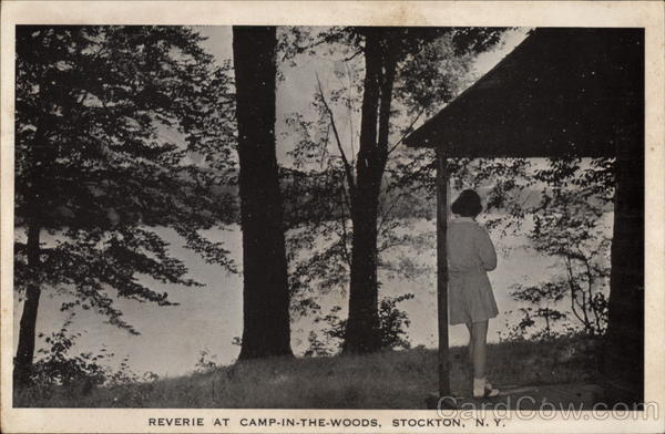Reverie at Camp-In-The-Woods Stockton New York