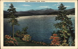 Scene of Newman Lake Washington Postcard Postcard