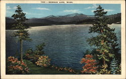 Scene of Newman Lake Postcard