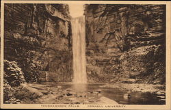 Stock #261323 Thumbnail