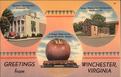 Greetings from Winchester Virginia Postcard Postcard