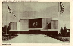 Hall of Negro Life at Texas Centennial Exposition Dallas, TX Postcard Postcard