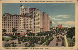 Biscayne Boulevard looking North from Flagler Street Miami, FL Postcard Postcard
