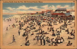 Looking South from the Pier Postcard