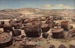 Petrified Logs Petrified Forest National Park, AZ Postcard Postcard