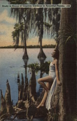 Study in Knees at Cypress Gardens in Beautiful Florida Postcard Postcard